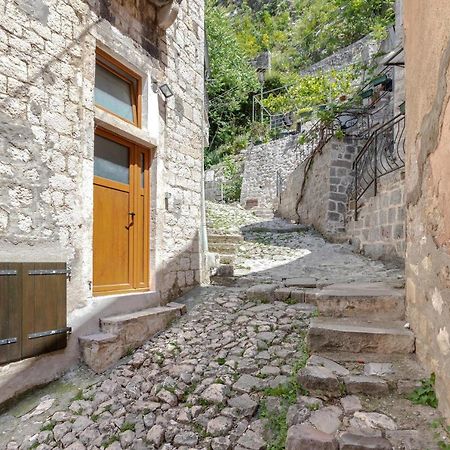 Historical Heart Apartment Kotor Eksteriør billede