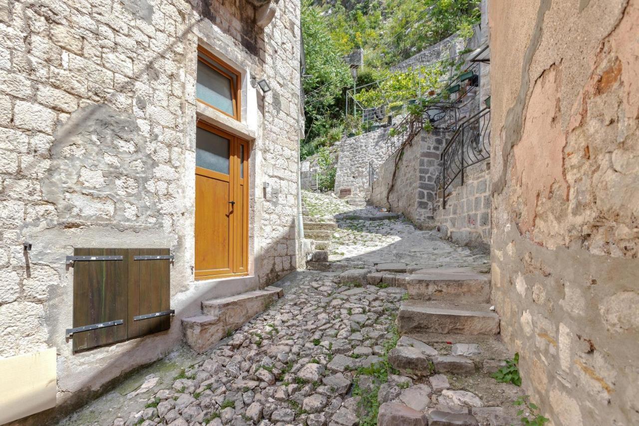 Historical Heart Apartment Kotor Eksteriør billede
